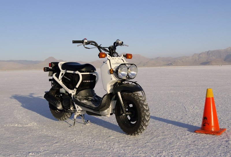 Illustration for article titled What's Oppo's Opinion on the Honda Ruckus?